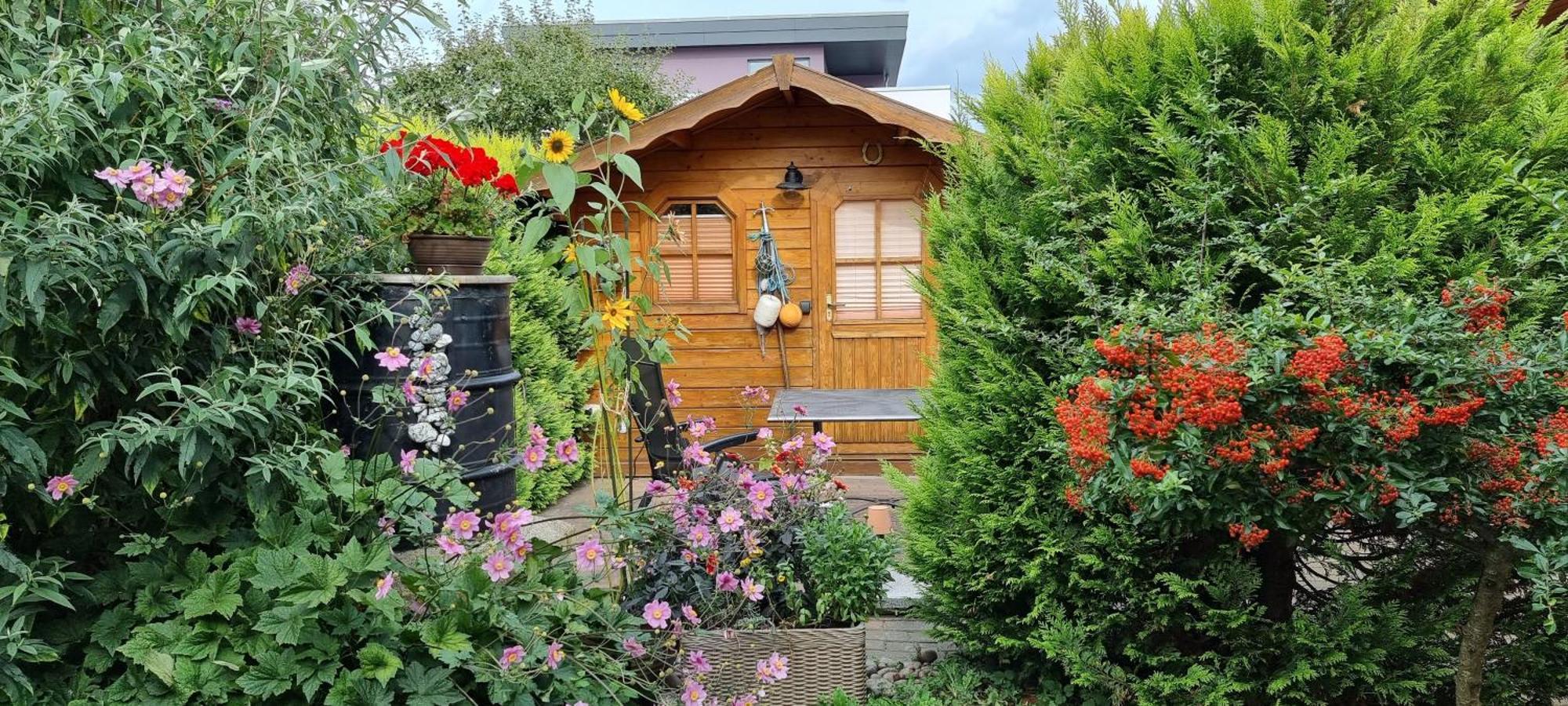 Ferienwohnung Kollwitz Sassnitz Zewnętrze zdjęcie